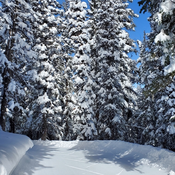 Ambassador❤Mentor❤High Rated Seller❤Send Offers❤ - Picture 8 of 12